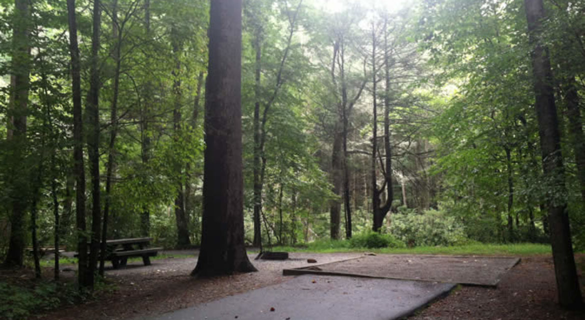 Davidson-RIver-Campground-Campsite.jpg