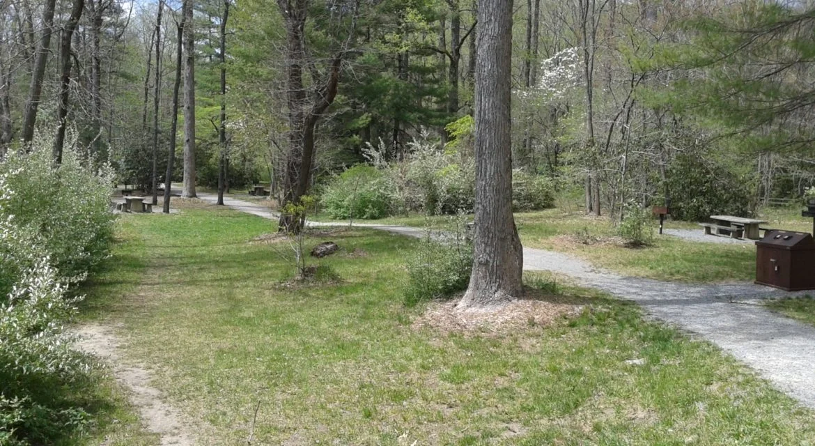 North-Mills-River-Day-Use-Area.jpg