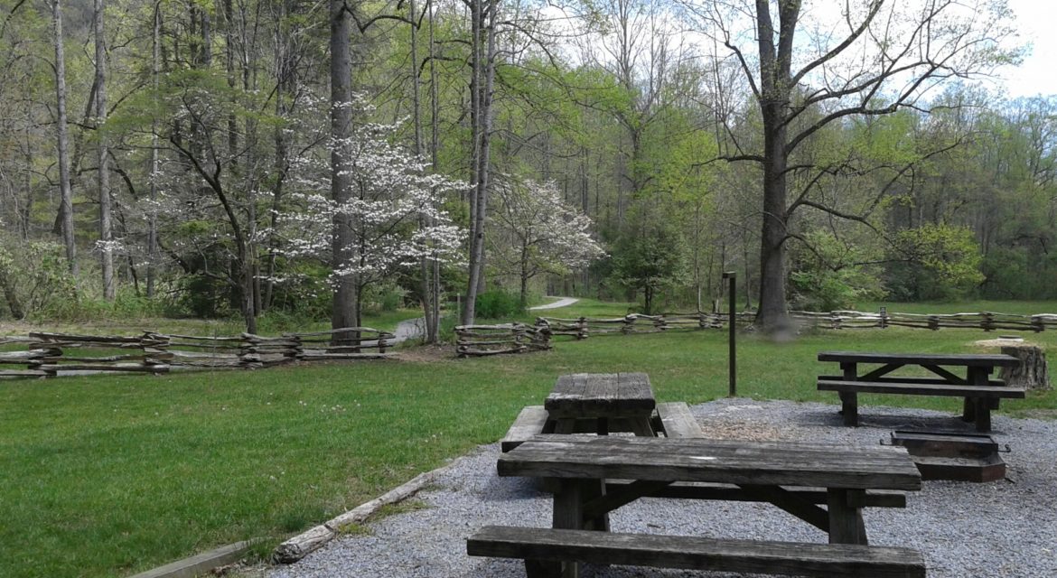 North Mills River Recreation Area & Campground — Pisgah Campgrounds