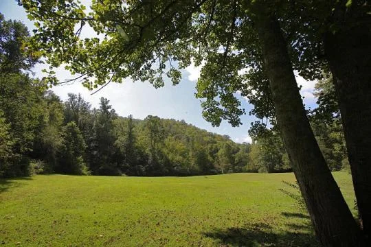 540x360-2.jpg