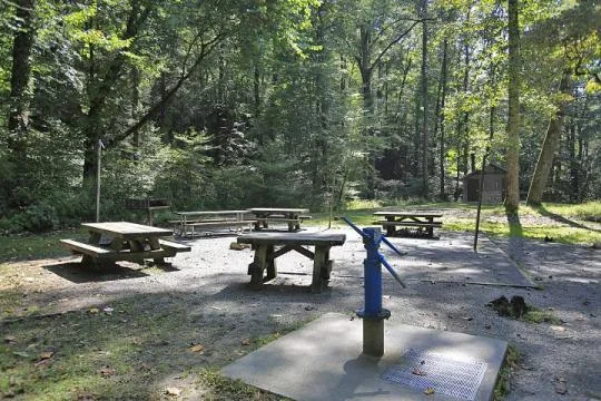 540x360-1.jpg