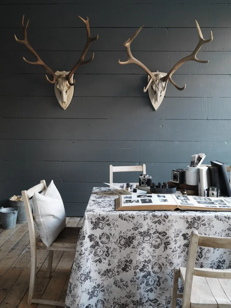 Antlers_010 copy-LowRes.jpg