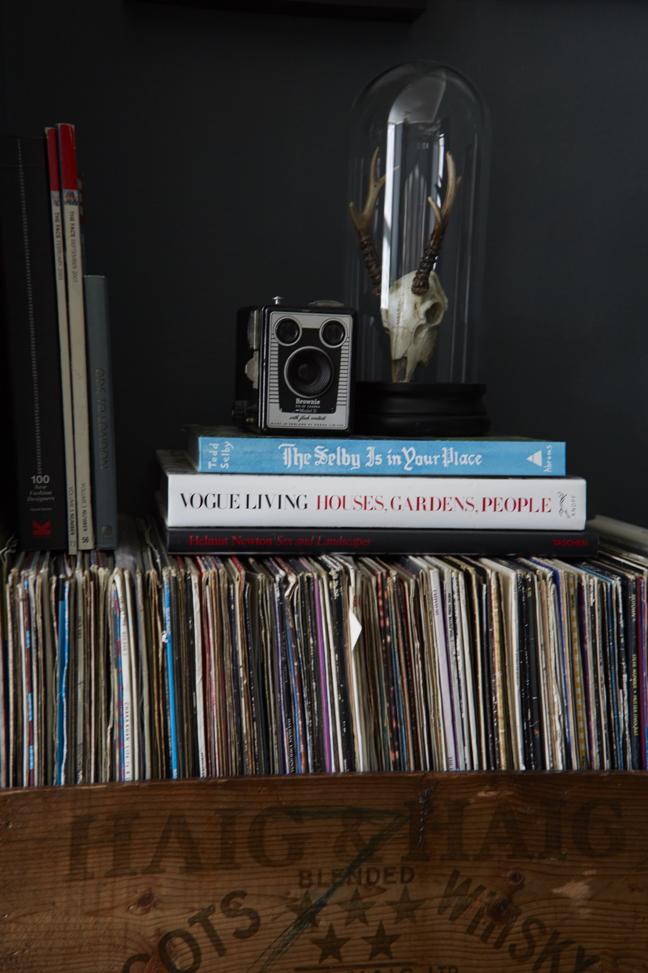 Jade 24-02-17  031.jpg