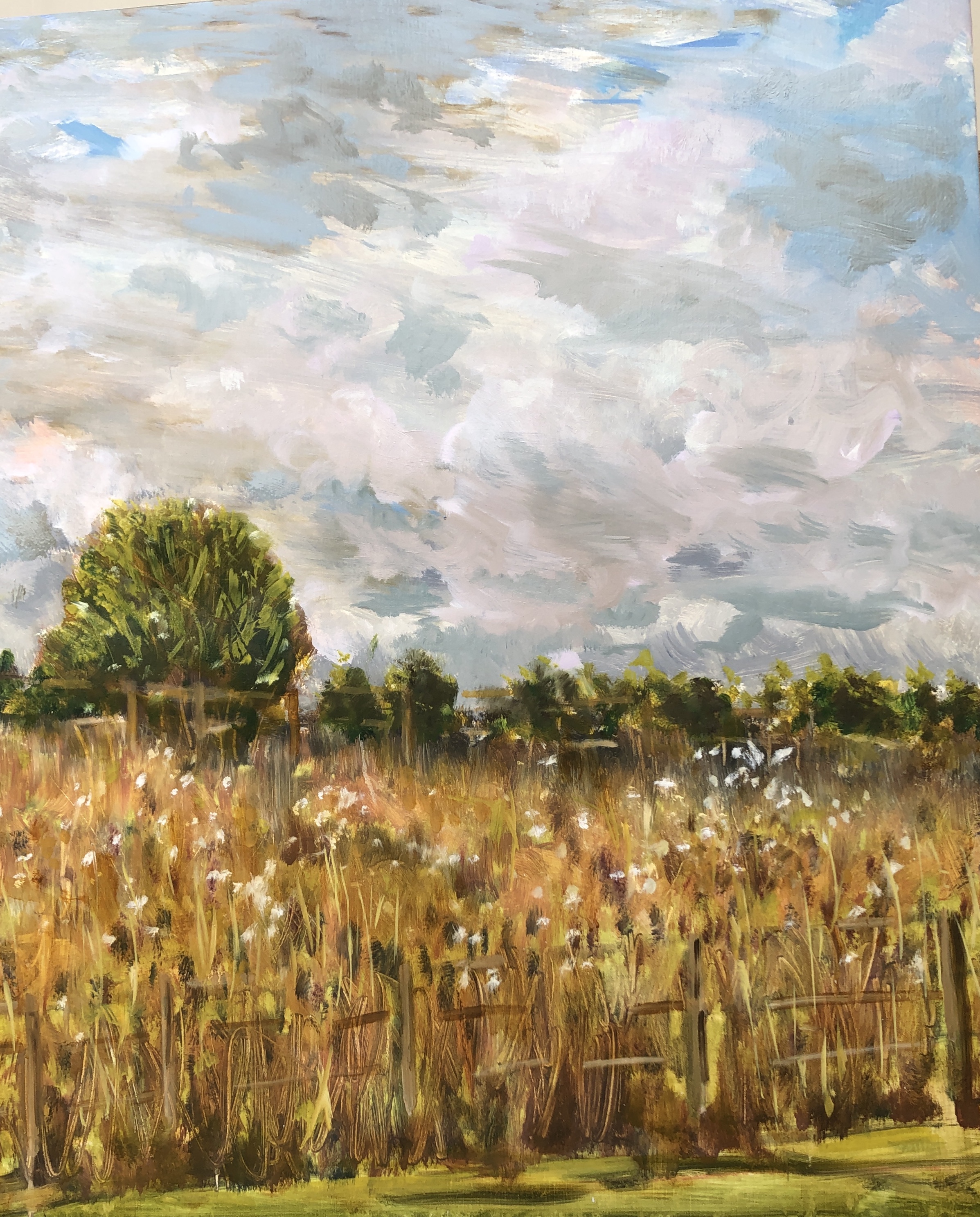 Wild flower meadow. Autumn tints. oil on canvas 50x70cm