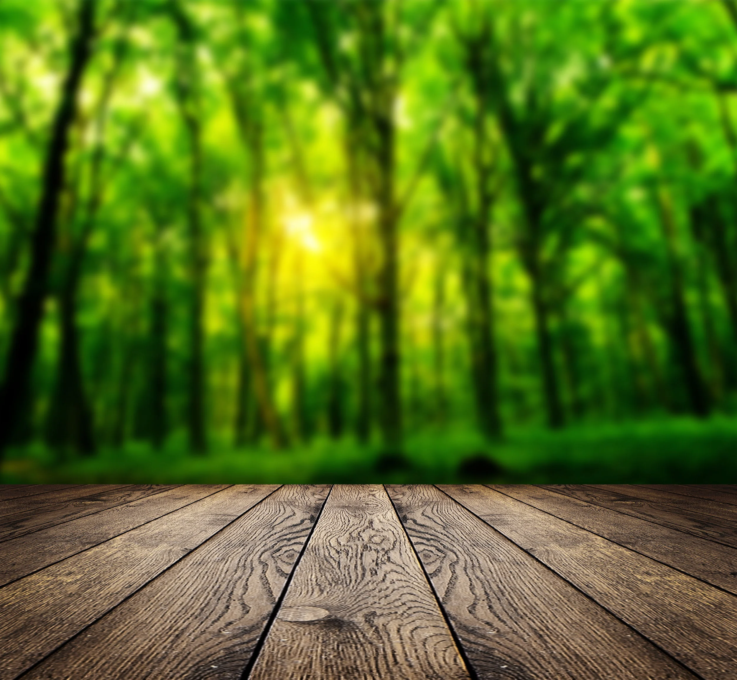 AdobeStock_49517548 tree porch.jpeg