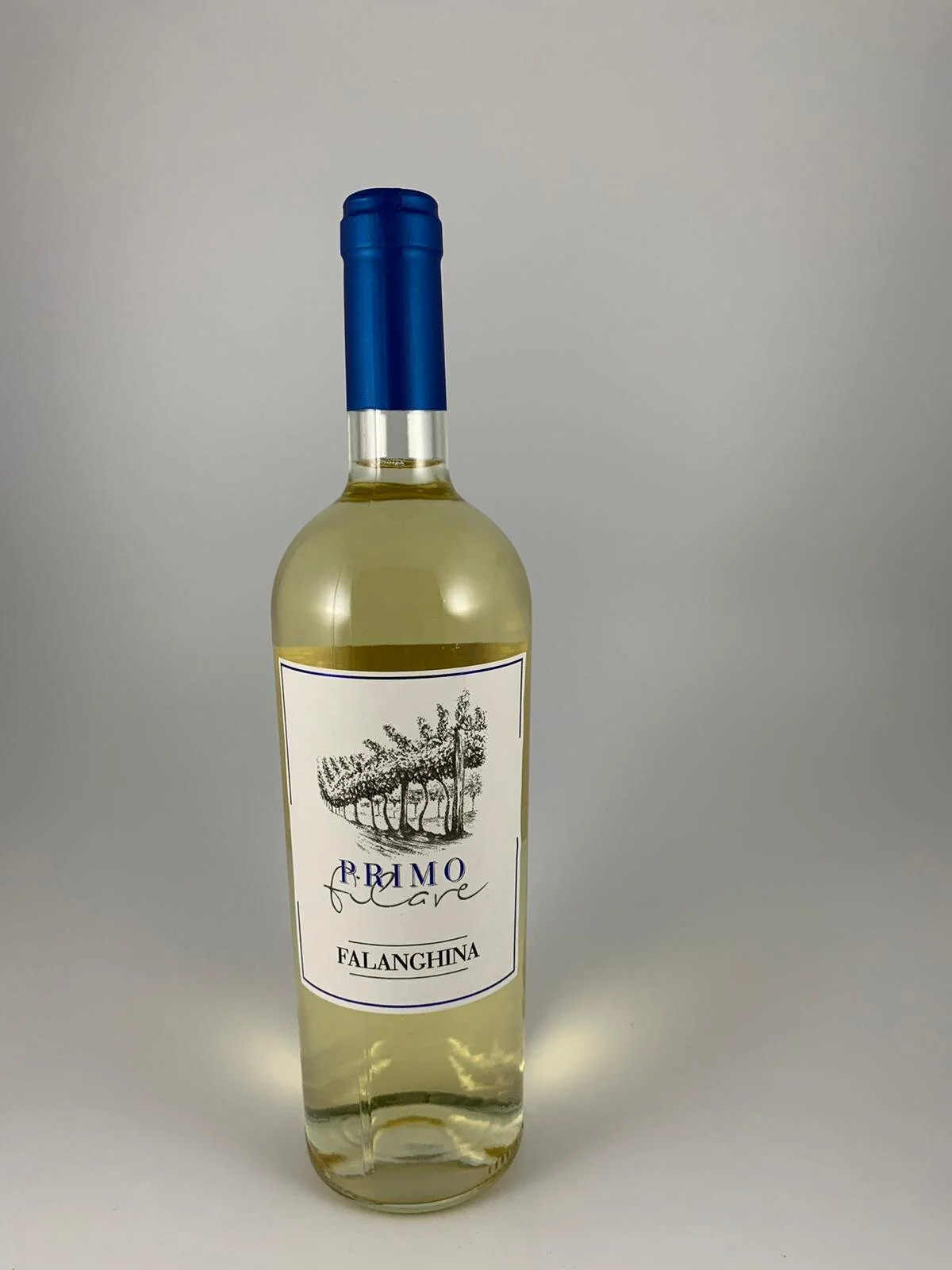 WhatsApp Image 2020-11-18 at 7.52.45 PM.jpeg