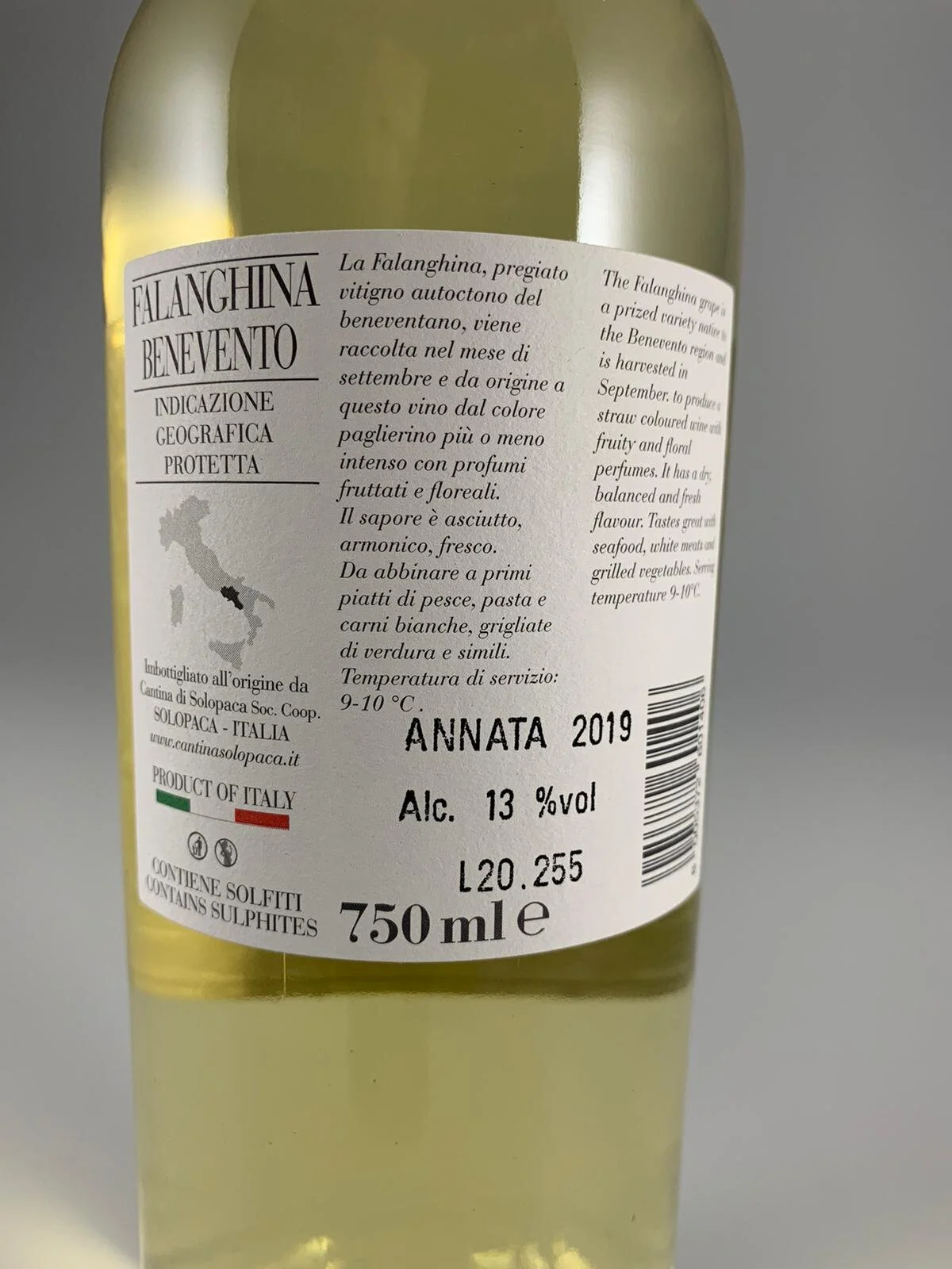 WhatsApp Image 2020-11-18 at 7.52.46 PM.jpeg