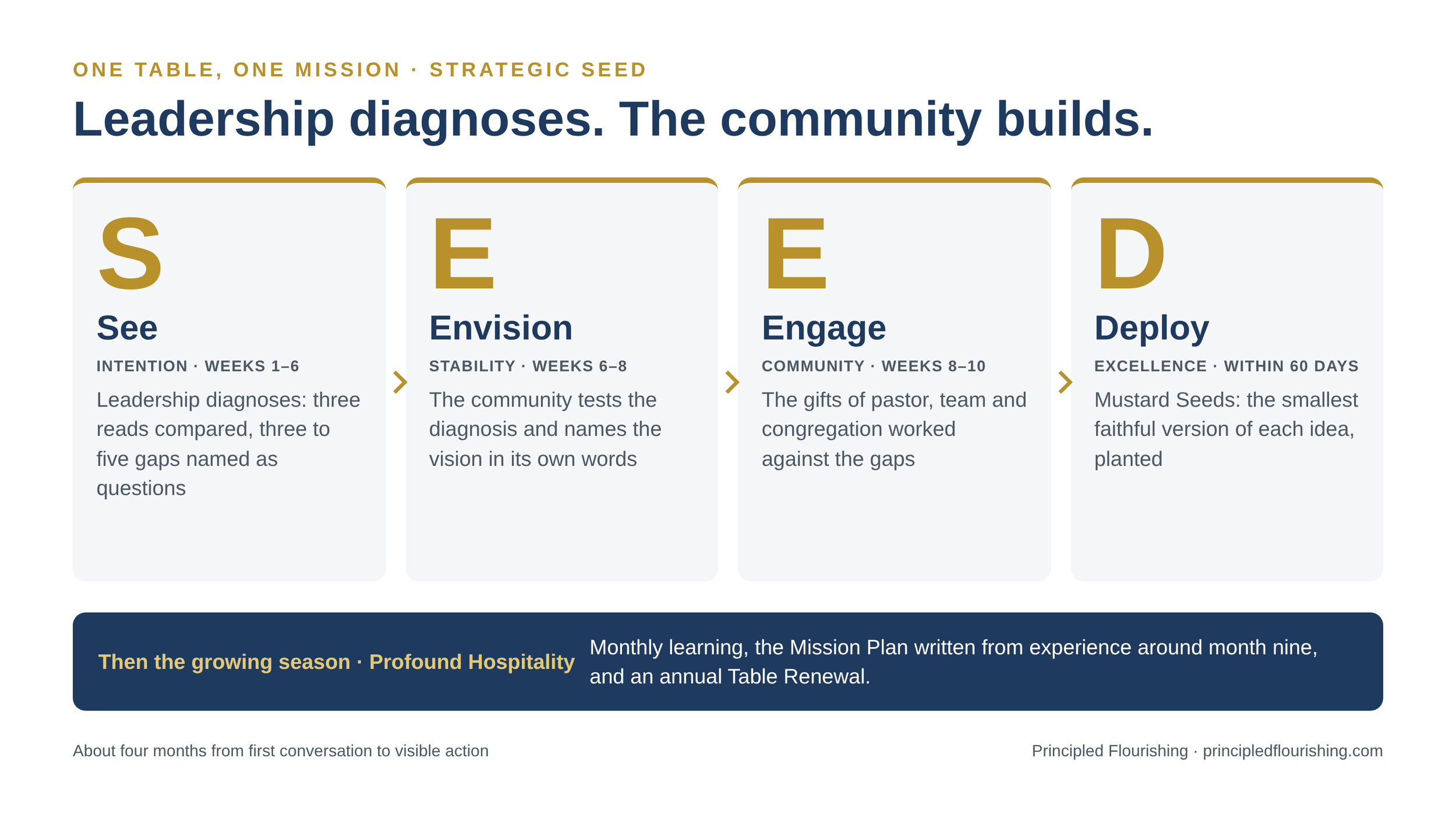 Strategic Seed process infographic showing four stages: See, Envision, Engage and Deploy, with timelines, descriptions, and a monthly learning and annual renewal plan.