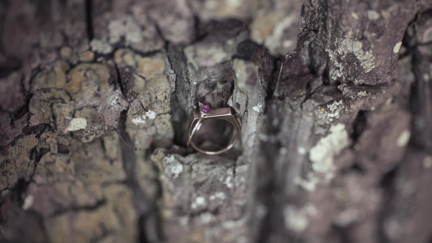 ring.jpg