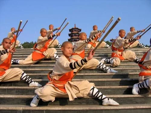20e624e0fb785a60196abbd2bc77bd19--shaolin-kung-fu-kungfu.jpg