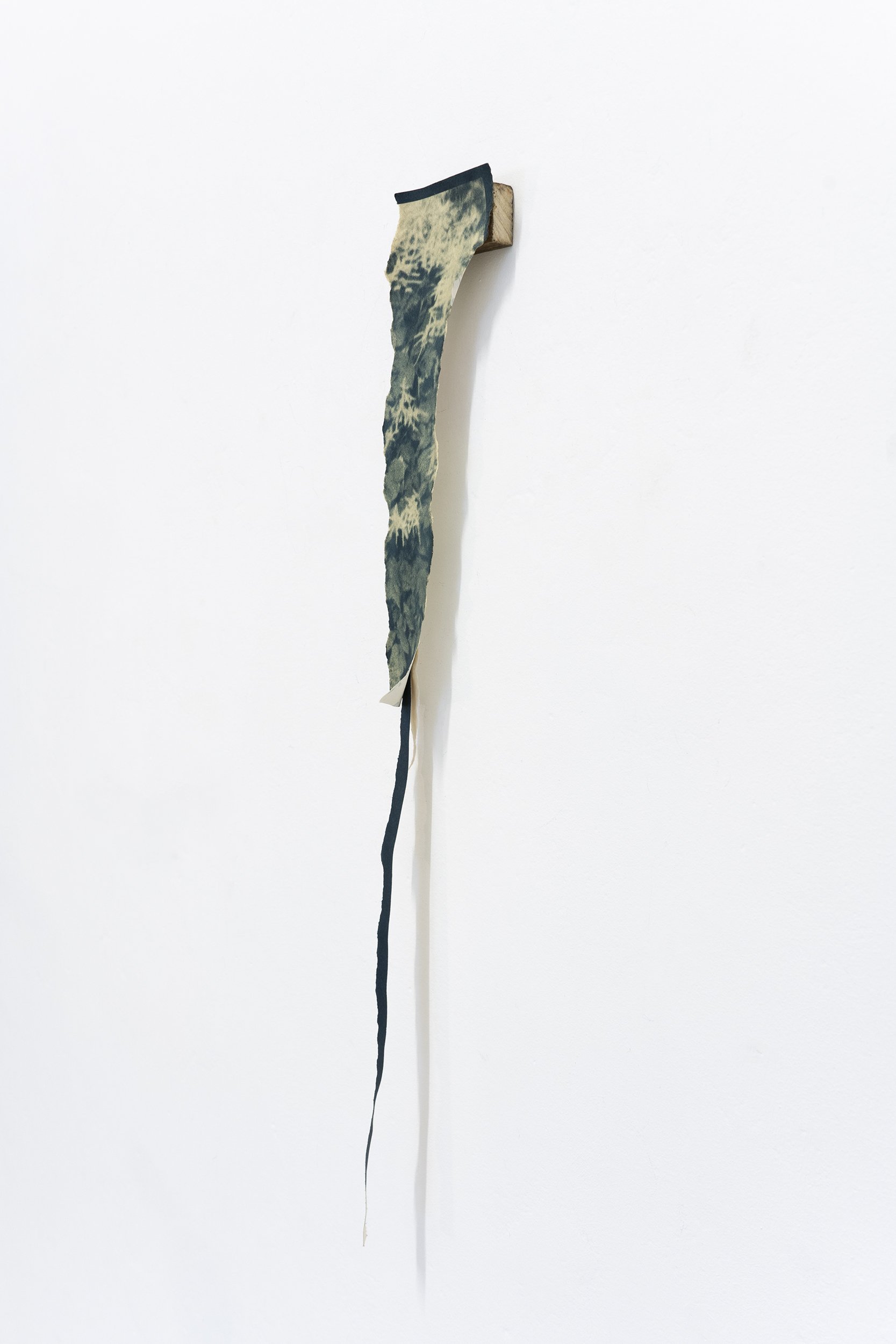 Goatsbeard (side view)