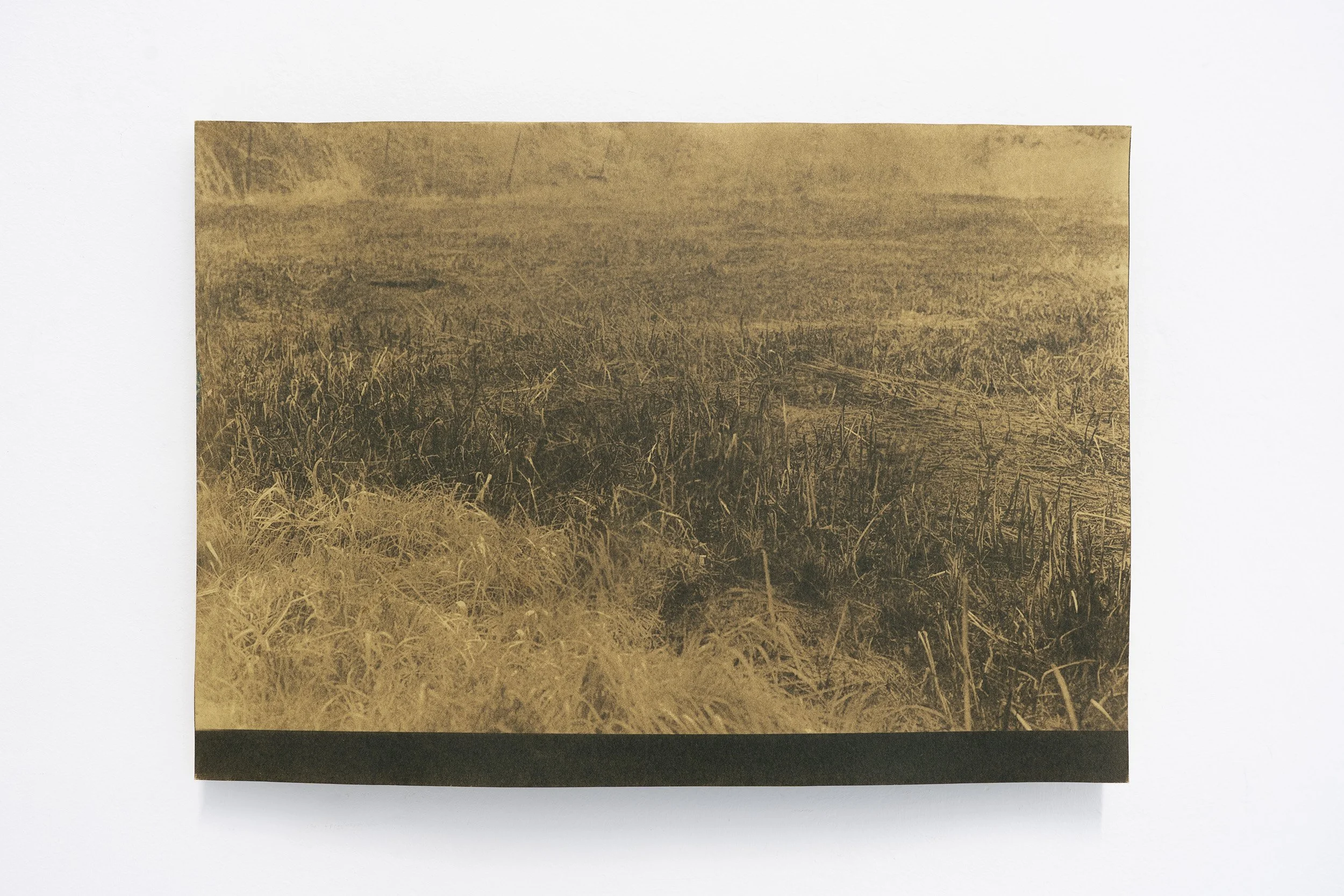 Wildfire on Walthamstow Marshes II_Harri Harrison.jpg