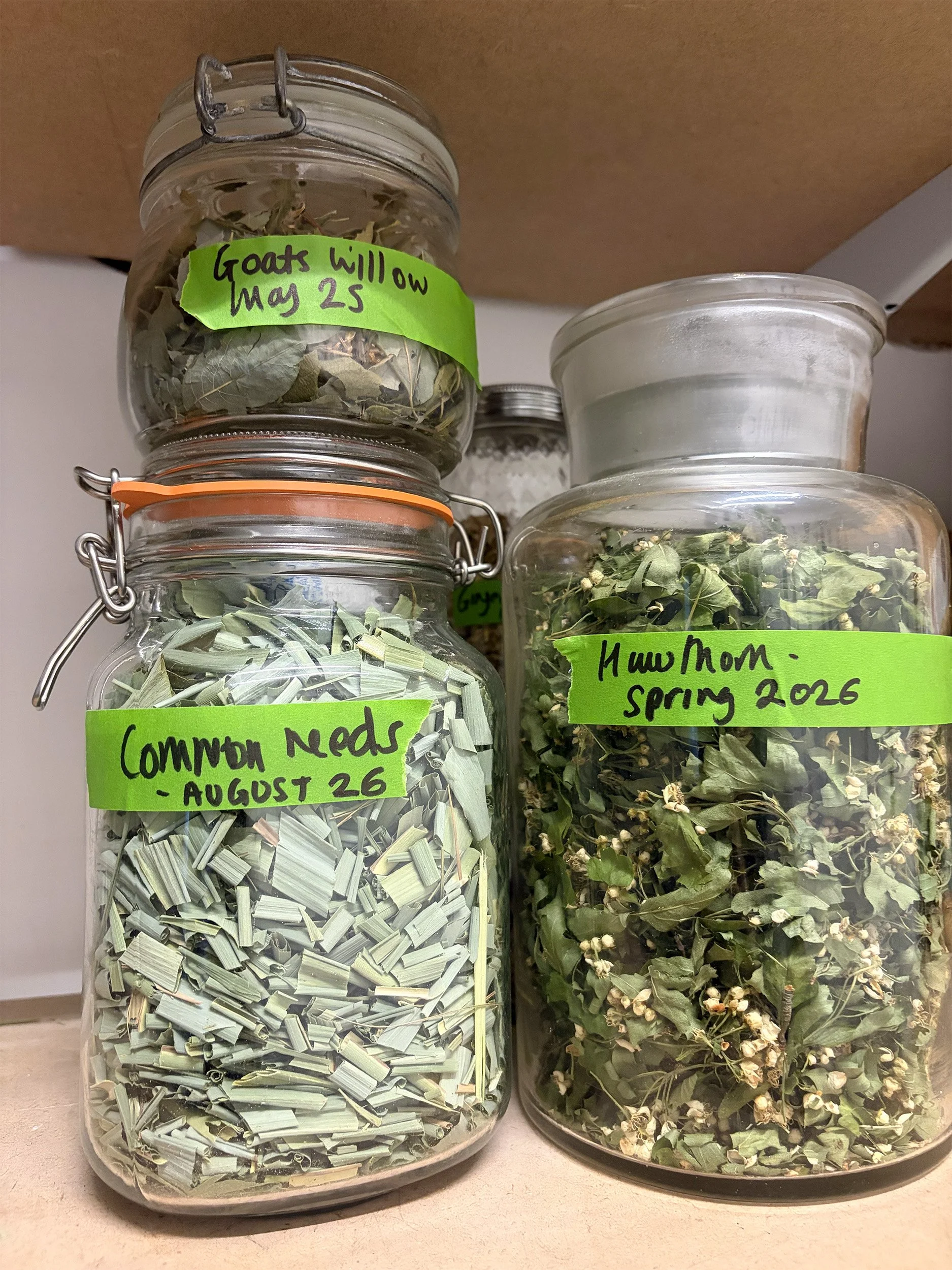 Botanicals for toning_Harri Harrison.jpg