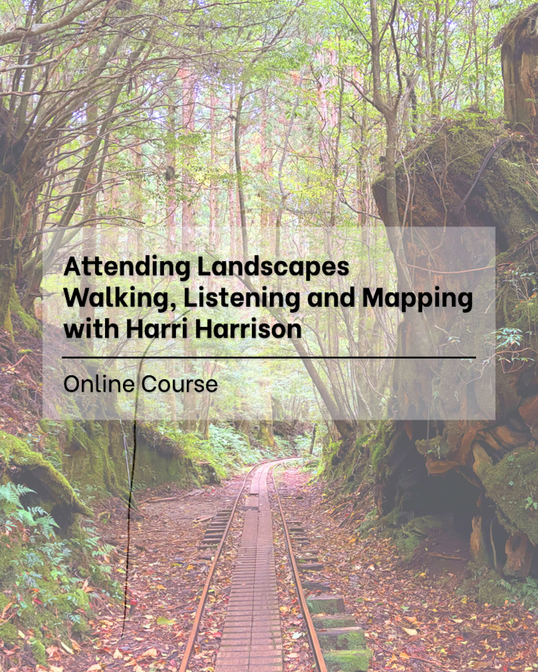 Graphic over a mossy forest in Japan with timber tracks. Text reads: 'Attending Landscapes: Walking, Listening and Mapping. A Harri Harrison online course with IMT Gallery.' A pencil drawing is layered on top.
