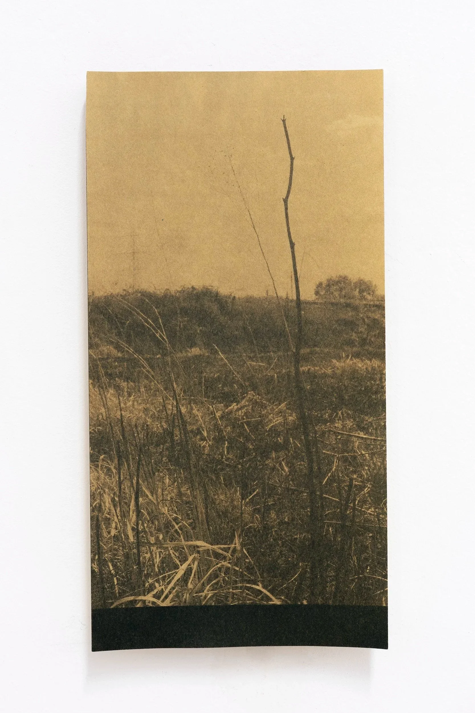 Wildfire+on+Walthamstow+Marshes+III_Harri+Harrison.jpg