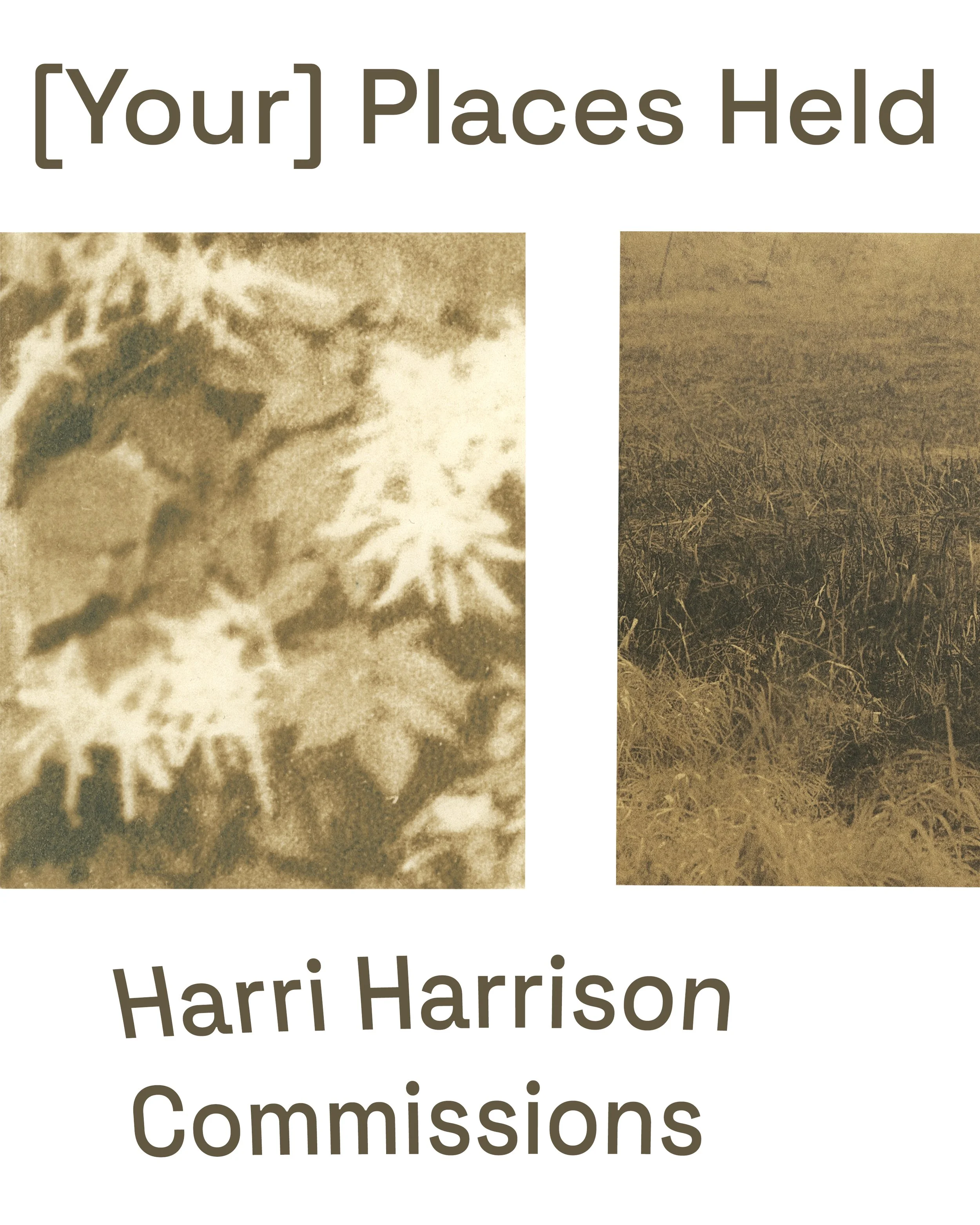 Digital flyer for [Your] Places Held by Harri Harrison - commissions made in response to a place you've come to know deeply, featuring two cropped fragments of brown-toned cyanotypes.