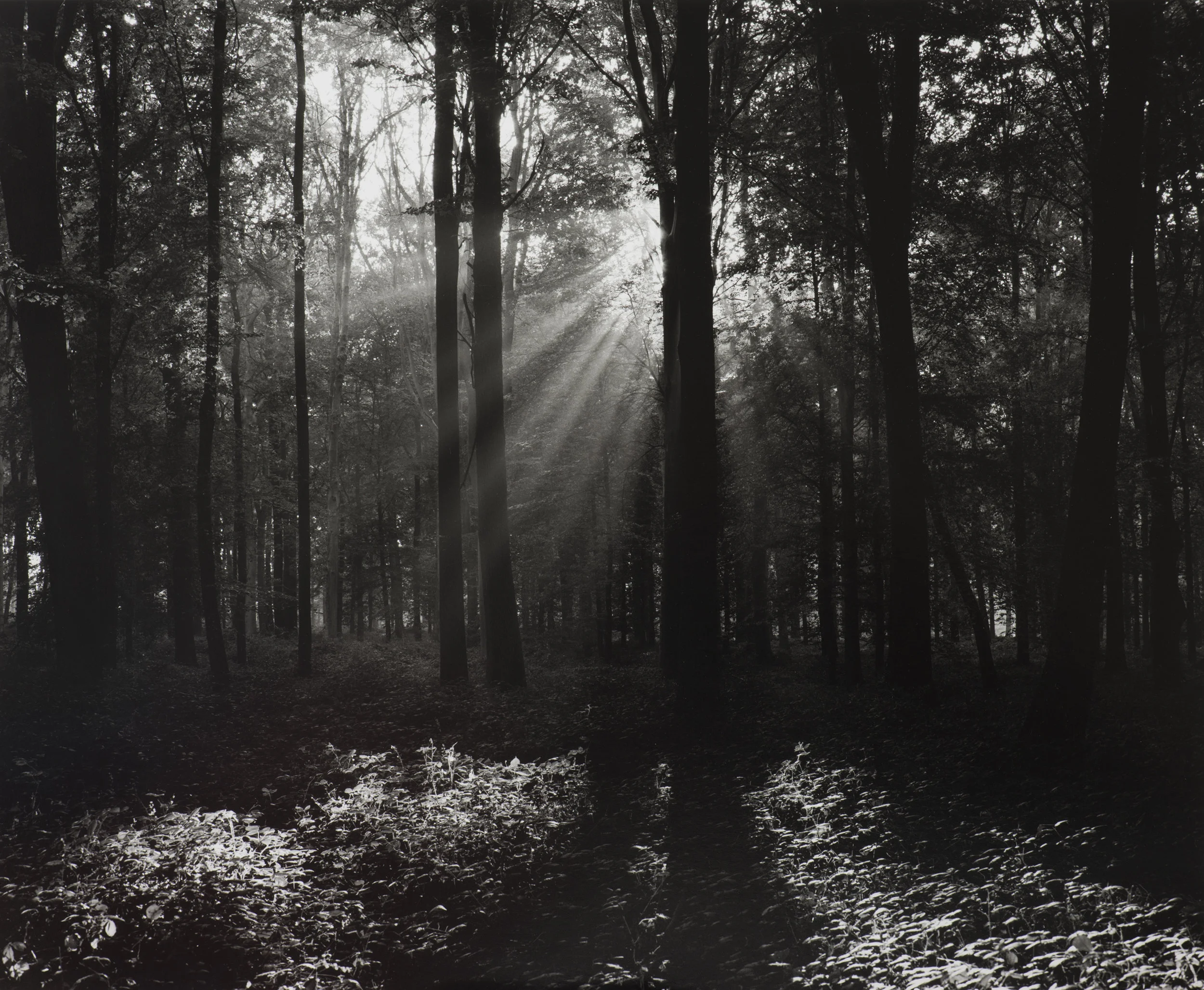 A powerful display of landscape photography Our first exhibition at ffotogaleri y gofeb featured two outstanding photographers, with a shared interest in revisiting the battlefields of WWI.