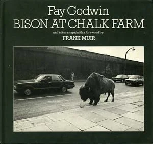 Fay Godwin - Bison at Chalk Farm and Other Snaps