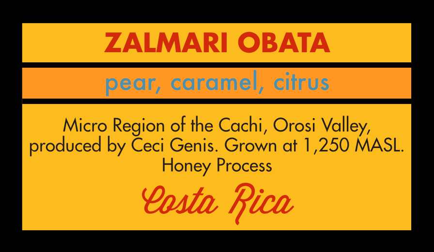 Costa Rica Zalmari Obata