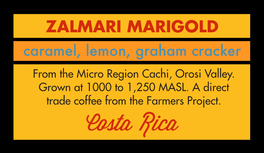 Costa Rica Zalmari Marigold