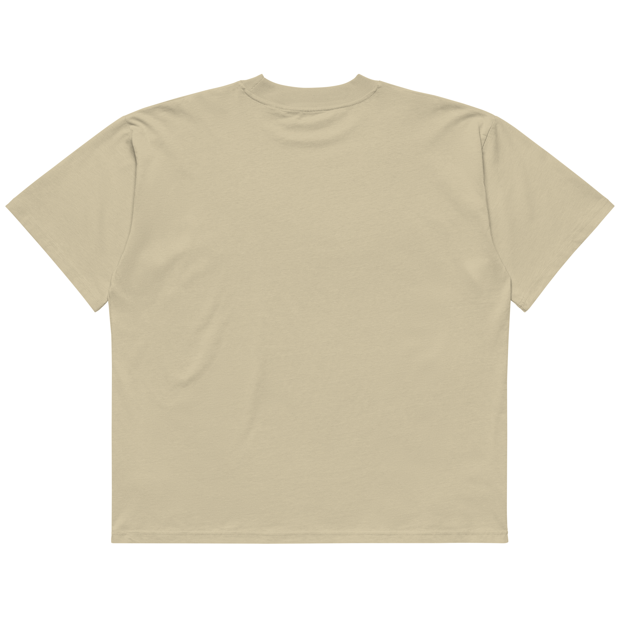 unisex-organic-oversized-high-neck-blaster-2.0-t-shirt-stone-back-69f524291bdce.png