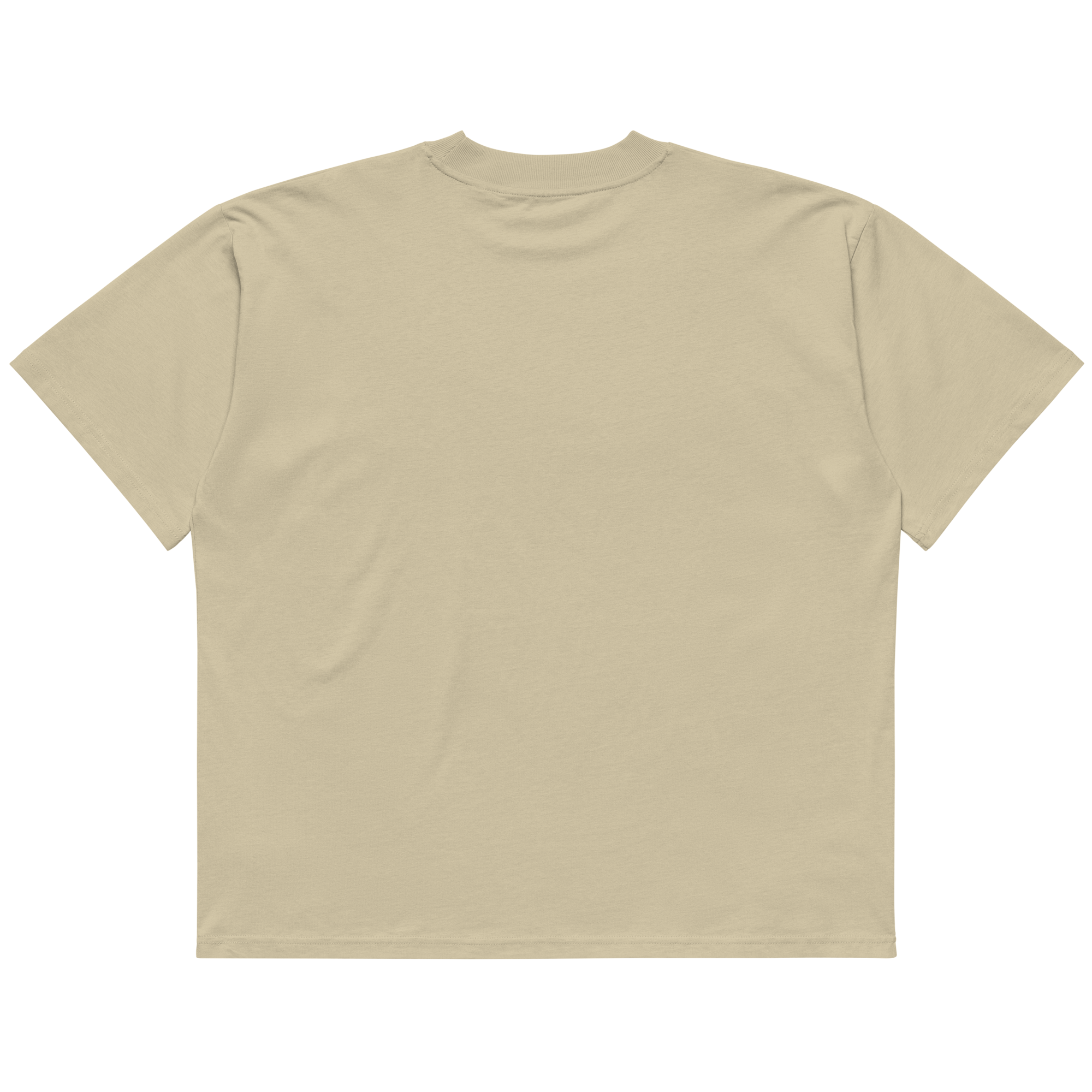 unisex-organic-oversized-high-neck-blaster-2.0-t-shirt-stone-back-69f5250845f42.png