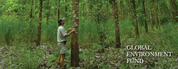 Brochure for Global Environment Fund This print piece for the Global Environment Fund (GEF) was designed to show environmentalists, investors and civic leaders how this greenfield teak plantation in Tanzania serves as a model for responsible forestry in sub-Saharan Africa. Like many projects, it involved talking with the end-client, gathering up their material and working with to the graphic designer to find the most direct and compelling way to tell the story. CLIENT: FCI Creative (copywriting)