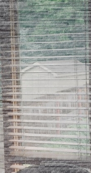 window.jpg