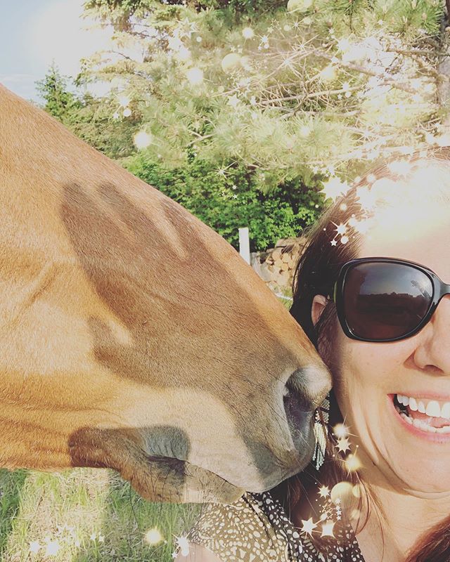 Look who wanted to say #goodmorning ! #sunday Good morning #writerscommunity handsome #horses #mysistersranch #horse #sundayvibes #goodmorning #writer #writerslife #writersofinstagram #writerslifeforme #ranch #momlife #equine #equinephotography #eque