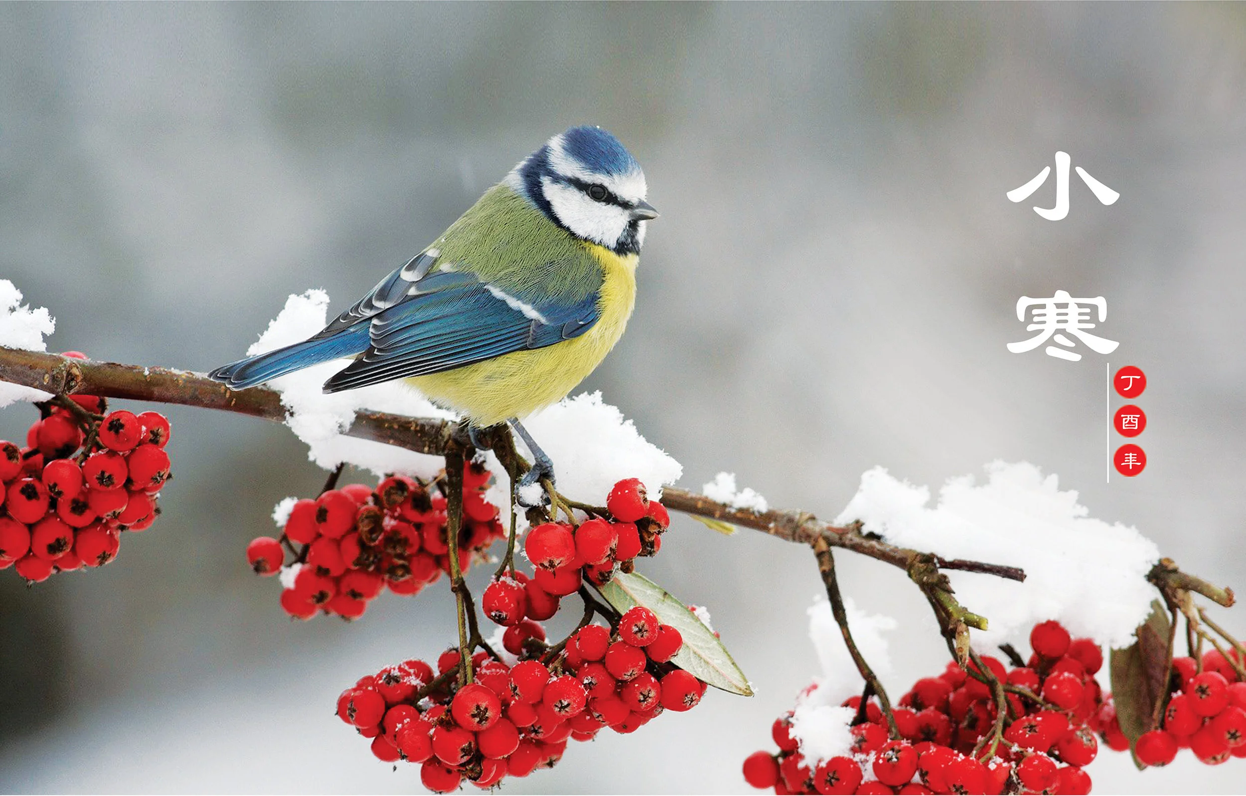 节气·小寒
