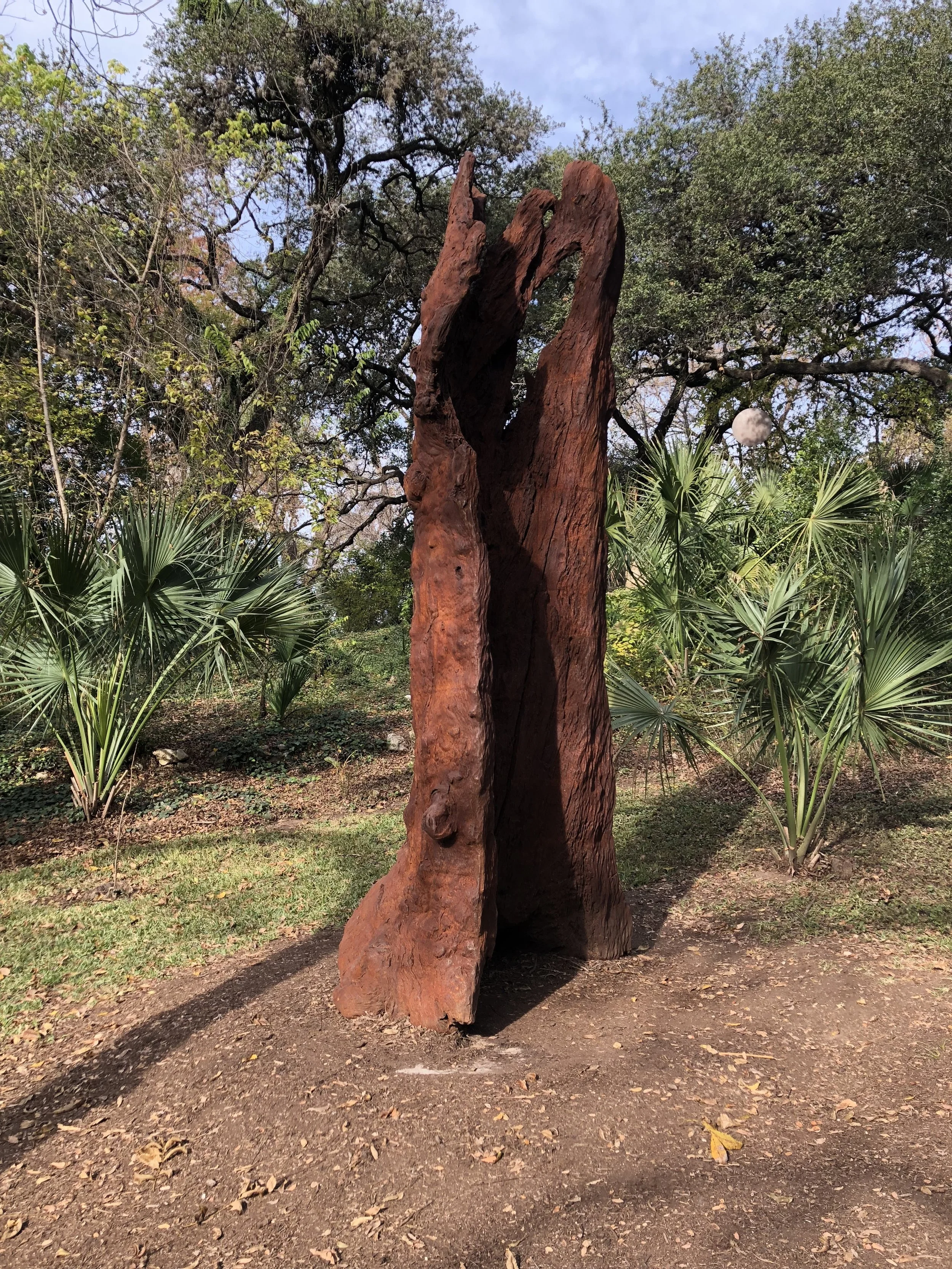 中國藝術家艾未未的主要作品來到奧斯汀