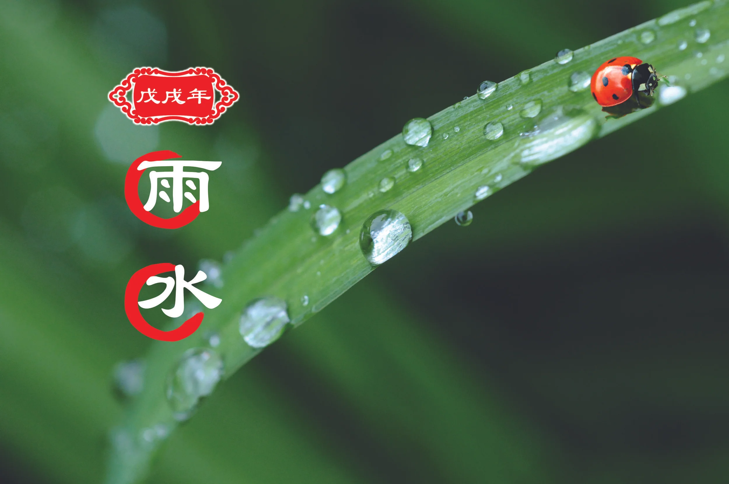 【二十四节气】雨水
