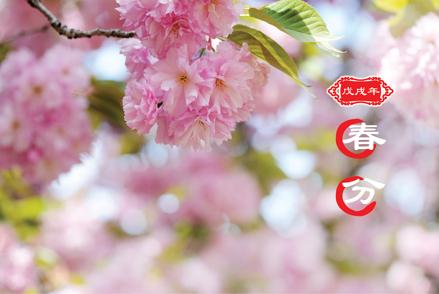 【二十四节气】春分