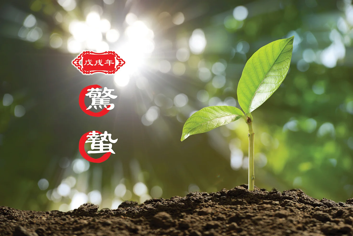 【二十四节气】惊蛰