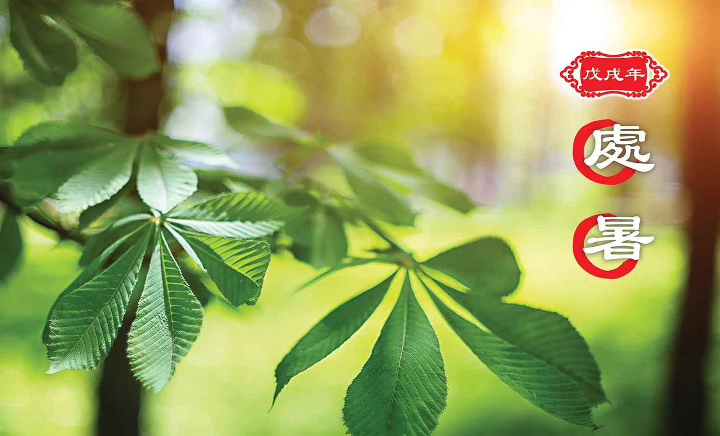 【二十四节气】处暑