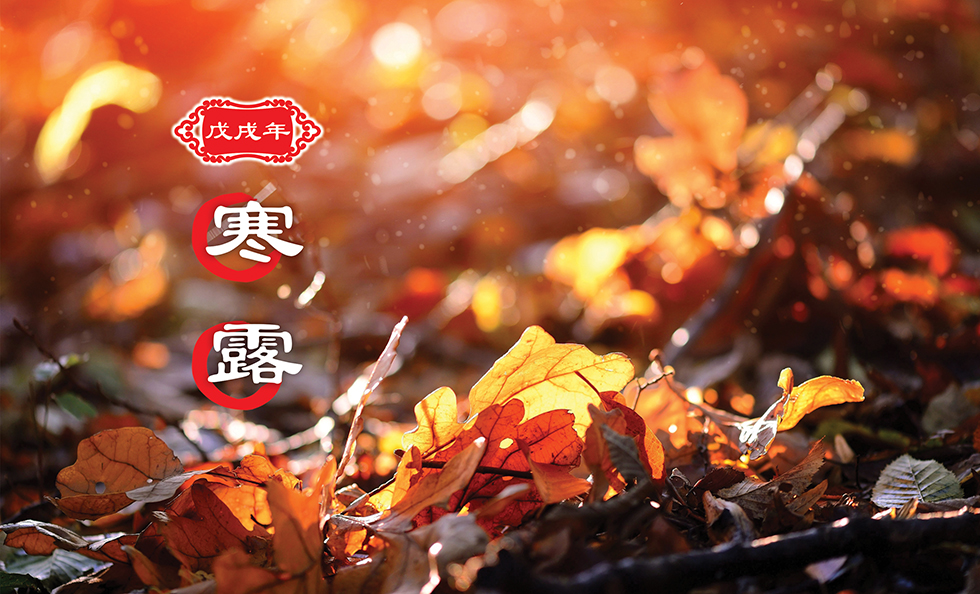 【二十四节气】寒露