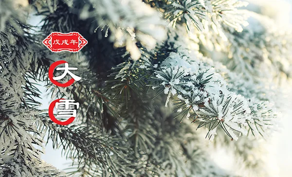 【二十四节气】大雪
