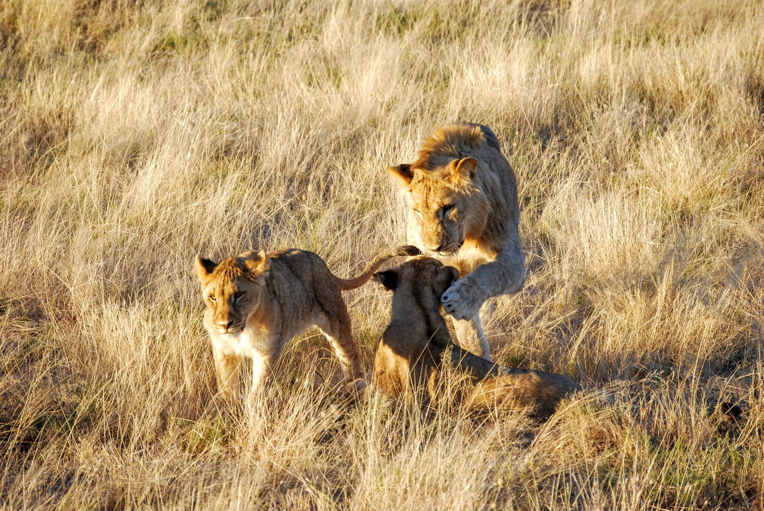 It's time to 'Marie Kondo' your relationships