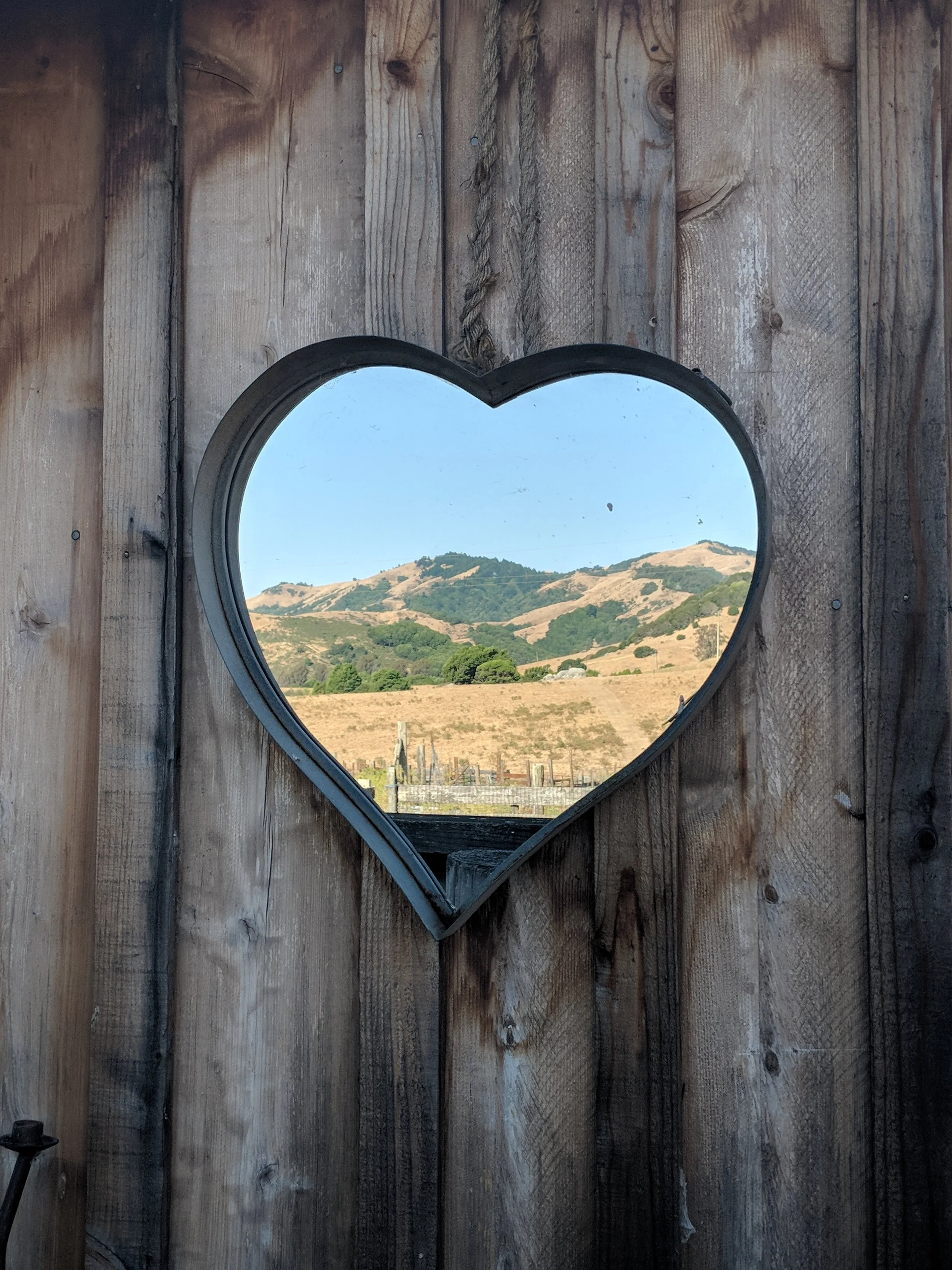 Stop Beating Yourself Up