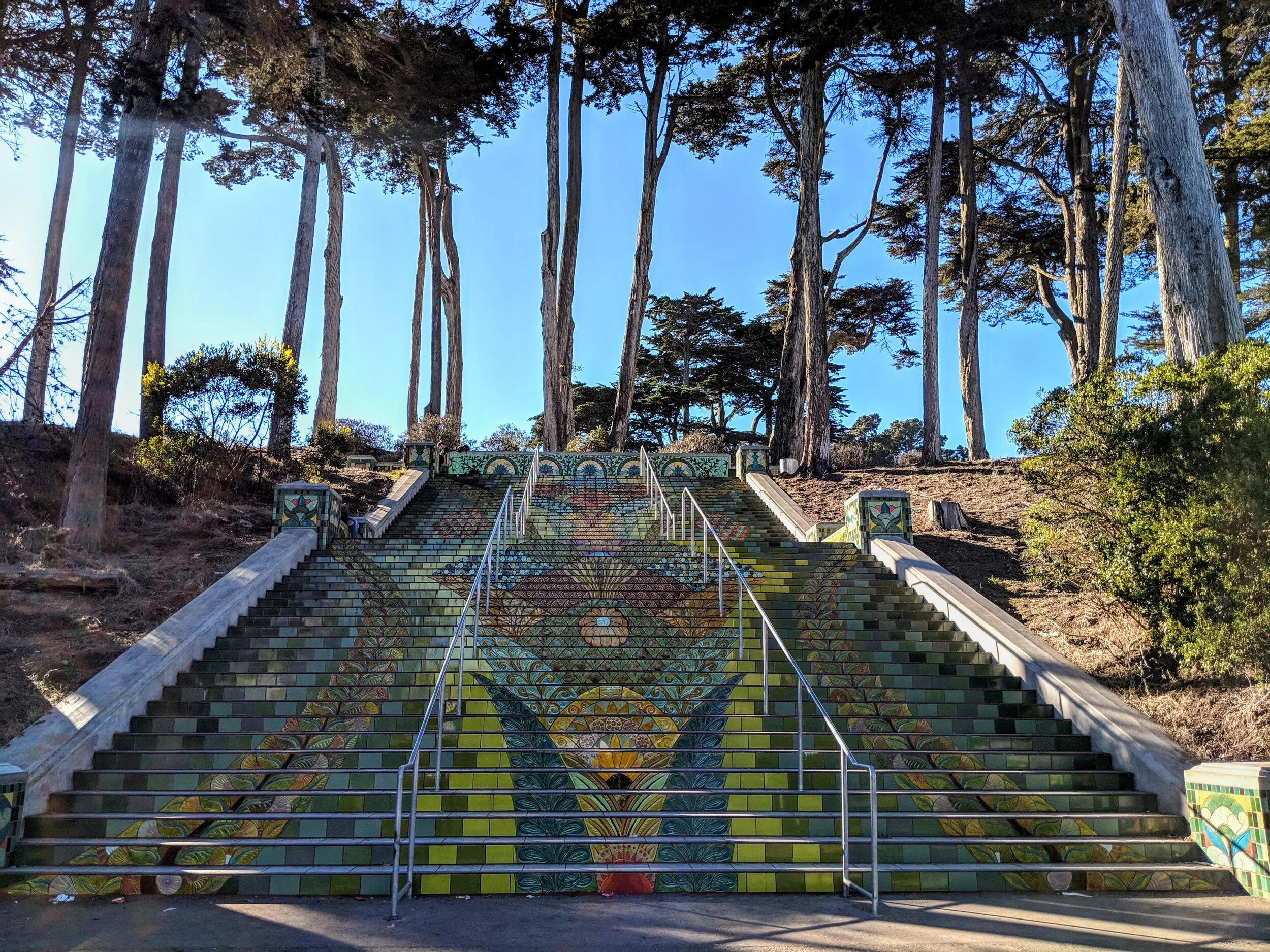 The Pathway of Pause