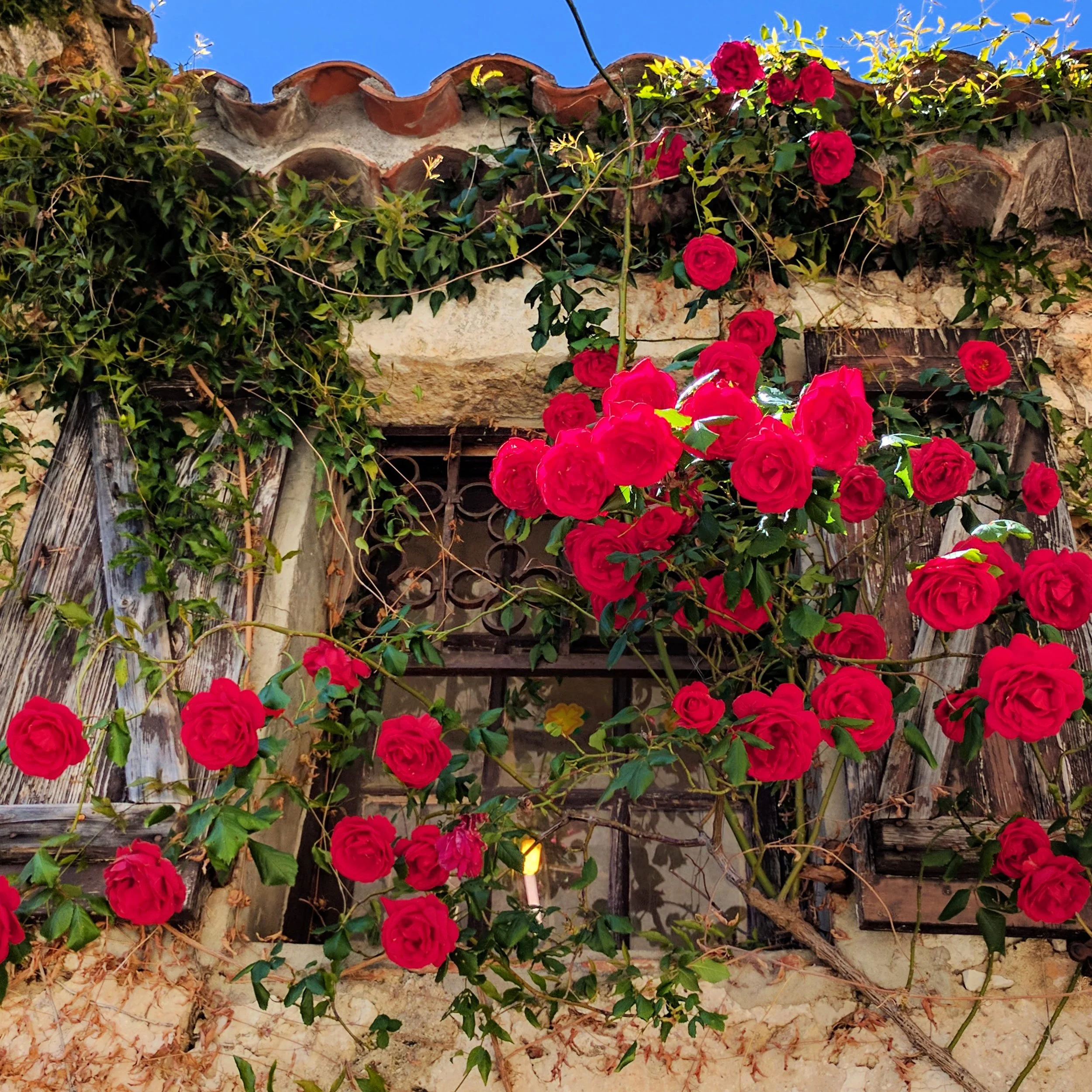 Feeling Resistance to Pause?