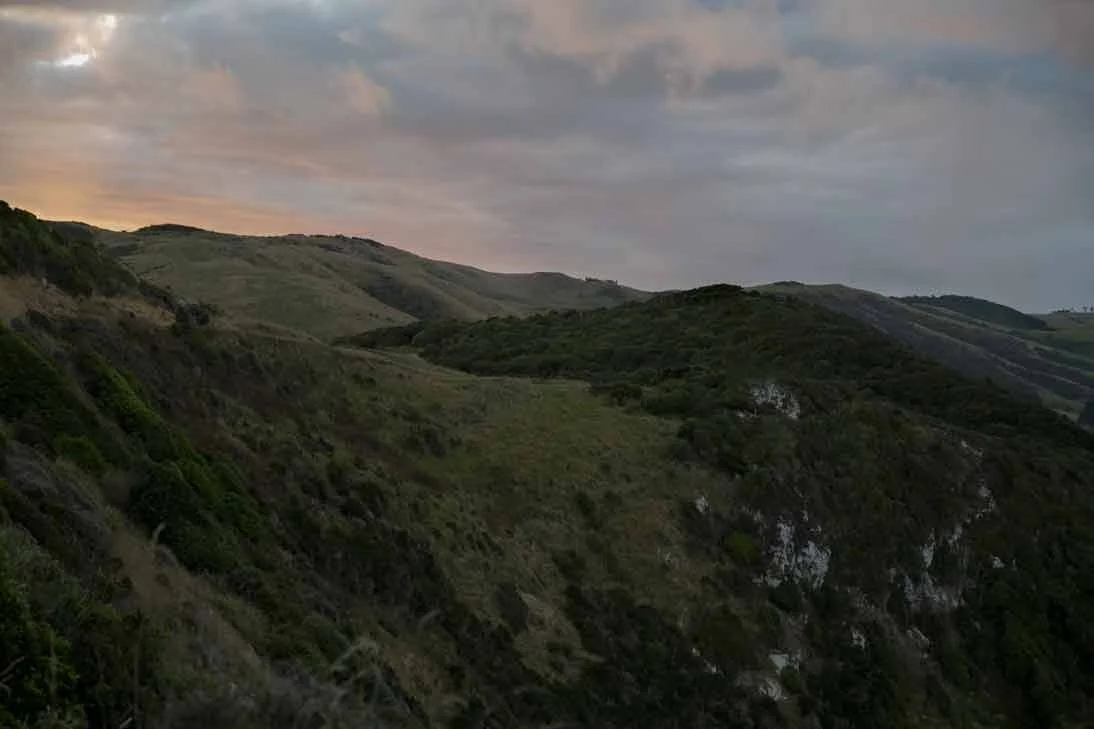 PP2017_MG_9919_NZ_web.jpg