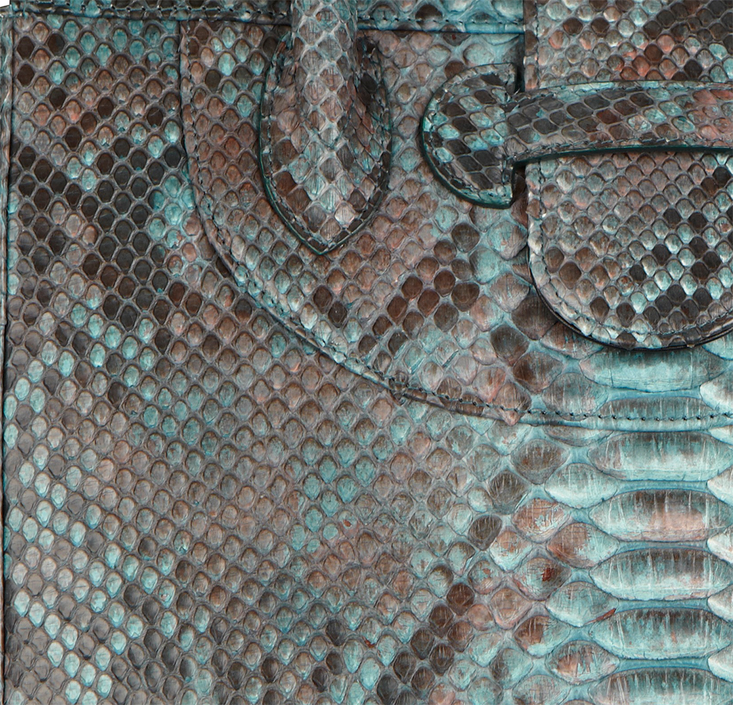 section blue python.jpg