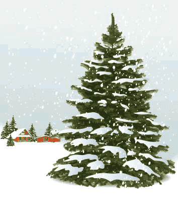 Happy Holidays