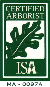 arborist cert.jpg