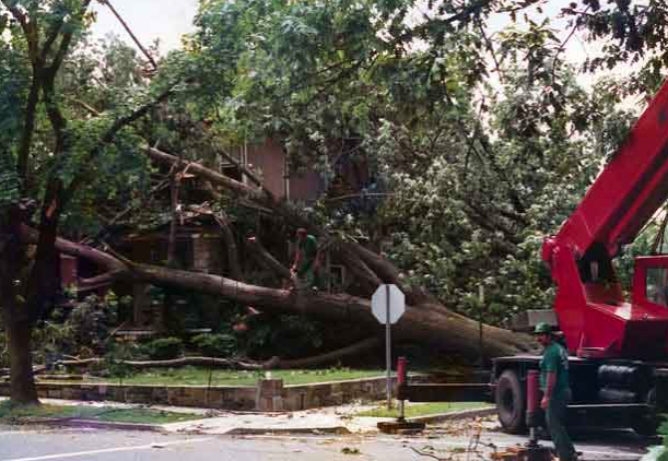 Screen Shot 2017-11-07 at 10.08.28 PM.png