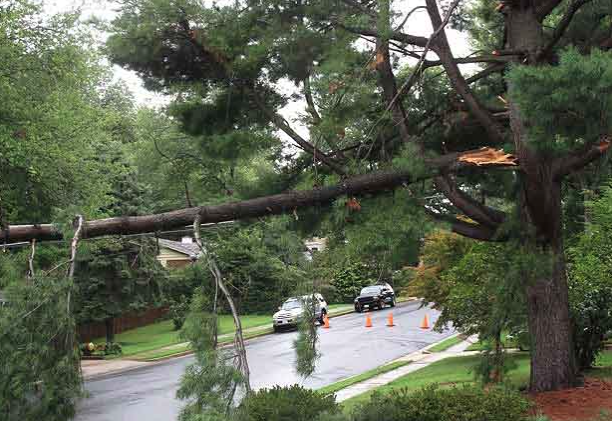 Screen Shot 2017-11-07 at 10.08.21 PM.png