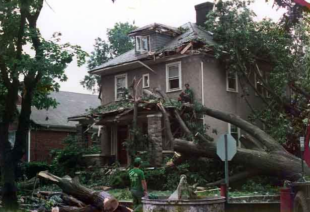 Screen Shot 2017-11-07 at 10.08.35 PM.png