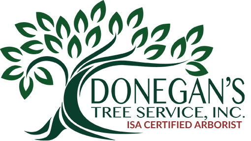 Donegan&#39;s Tree Service - Leesburg, Loudoun County, Marshall, and The Plains, Virginia
