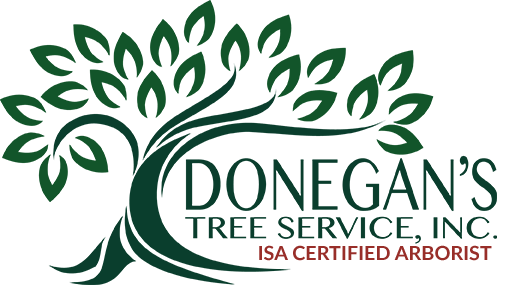 Donegan's Tree Service - Leesburg, Loudoun County, Marshall, and The Plains, Virginia